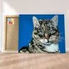 Peinture Par Numéros Peinture Numéro Chat Cromwell 1 Peinture Par Numéros Peinture Numéro Chat Cromwell -Creavea Shop chat cromwell p