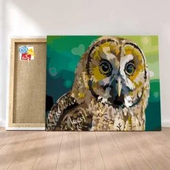 Peinture Par Numéros Peinture Numéro Hibou