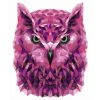 Wizardi Kit Peinture Kit De Peinture Par Numéros. P002 Hibou (style Polygone) 40*50 -Creavea Shop kit de peinture par numeros p002 hibou style polygone 4050 p