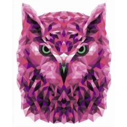 Wizardi Kit Peinture Kit De Peinture Par Numéros. P002 Hibou (style Polygone) 40*50