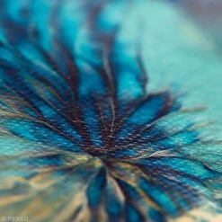 Pébéo Gouache Tube Kit Découverte Peinture à L'eau - Primacolor 20ml - 6 Tubes -Creavea Shop kit decouverte peinture a leau primacolor 20ml 6 tubes p 6