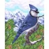 Peinture Numéro Kit Peinture Par Numéros Wizardi Blue Jay 40x50 Cm H106