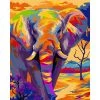 Peinture Numéro Kit Peinture Par Numéros Wizardi Elephant Coloré 40x50 Cm H081