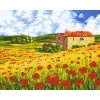 Peinture Numéro Kit Peinture Par Numéros Wizardi Poppy Meadow 40x50 Cm A091 2 Peinture Numéro Kit Peinture Par Numéros Wizardi Poppy Meadow 40x50 Cm A091 -Creavea Shop kit peinture par numeros wizardi poppy meadow 40x50 cm a091 p