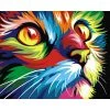 Peinture Numéro Kit Peinture Par Numéros Wizardi Rainbow Cat 40x50 Cm S066