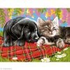 OZ International Peinture Numéro Peinture Au Numéro - Comme Chien Et Chat - 30 X 39 Cm -Creavea Shop peinture au numero comme chien et chat 30 x 39 cm p