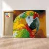 Peinture Par Numéros Peinture Numéro Perroquet -Creavea Shop perroquet p