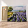 Peinture Par Numéros Peinture Numéro Rangs De Lavande