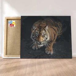 Peinture Par Numéros Peinture Numéro Tigre A L'Affut